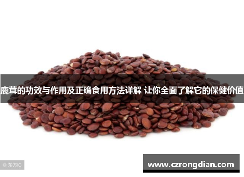 鹿茸的功效与作用及正确食用方法详解 让你全面了解它的保健价值