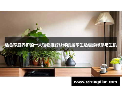 适合家庭养护的十大植物推荐让你的居家生活更添绿意与生机